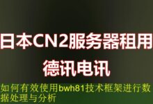 如何有效使用bwh81技术框架进行数据处理与分析-vps