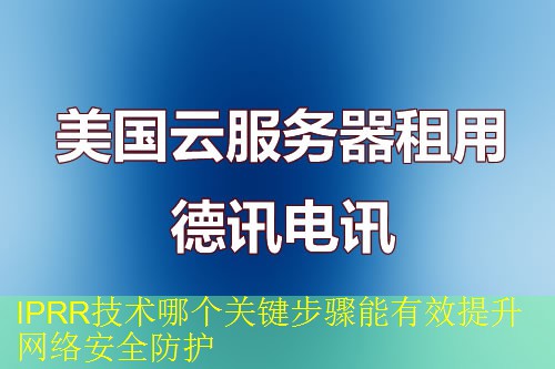 IPRR技术哪个关键步骤能有效提升网络安全防护