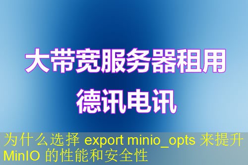 为什么选择 export minio_opts 来提升 MinIO 的性能和安全性