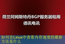 如何在Linux中查看内存速度的最新方法是什么-vps