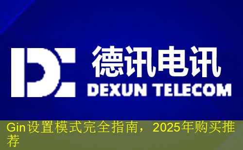 Gin设置模式完全指南，2025年购买推荐
