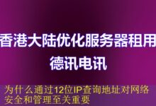 为什么通过12位IP查询地址对网络安全和管理至关重要-vps