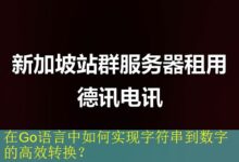 在Go语言中如何实现字符串到数字的高效转换?-vps