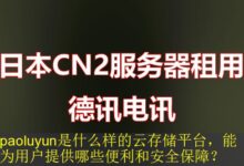 paoluyun是什么样的云存储平台,能为用户提供哪些便利和安全保障?-vps