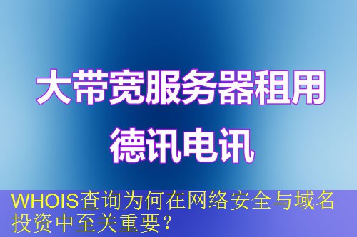 WHOIS查询为何在网络安全与域名投资中至关重要？