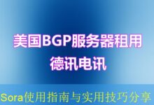 Sora使用指南与实用技巧分享-vps