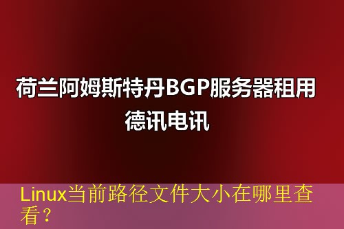 Linux当前路径文件大小在哪里查看？