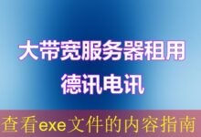 查看exe文件的内容指南-vps