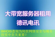 WHOIS查询为何在网络安全与域名投资中至关重要?-vps