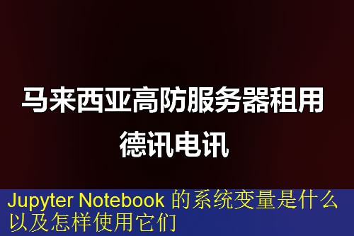 Jupyter Notebook 的系统变量是什么以及怎样使用它们