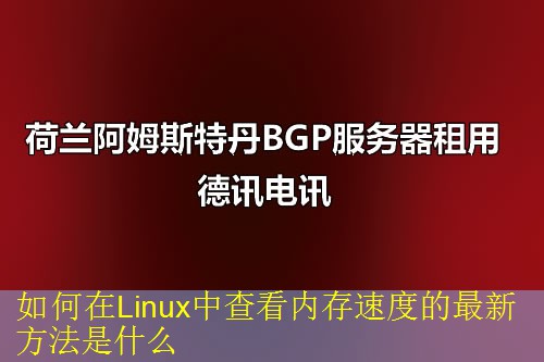 如何在Linux中查看内存速度的最新方法是什么