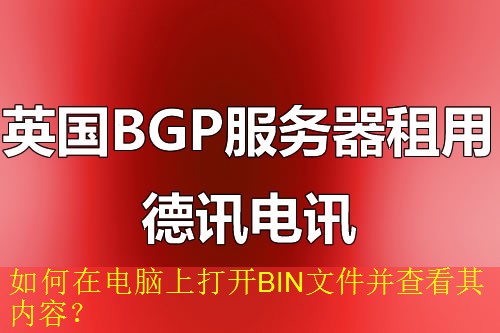 如何在电脑上打开BIN文件并查看其内容？