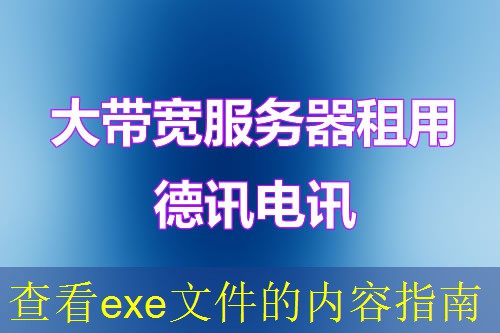 查看exe文件的内容指南