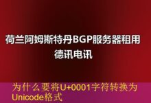 为什么要将U+0001字符转换为Unicode格式-vps