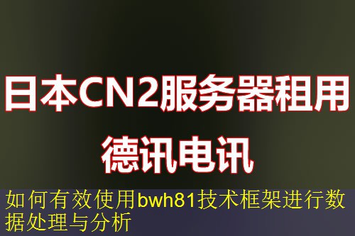 如何有效使用bwh81技术框架进行数据处理与分析