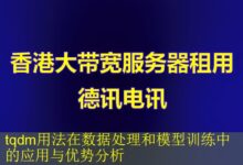 tqdm用法在数据处理和模型训练中的应用与优势分析-vps
