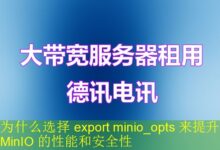 为什么选择 export minio_opts 来提升 MinIO 的性能和安全性-vps