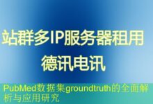 PubMed数据集groundtruth的全面解析与应用研究-vps